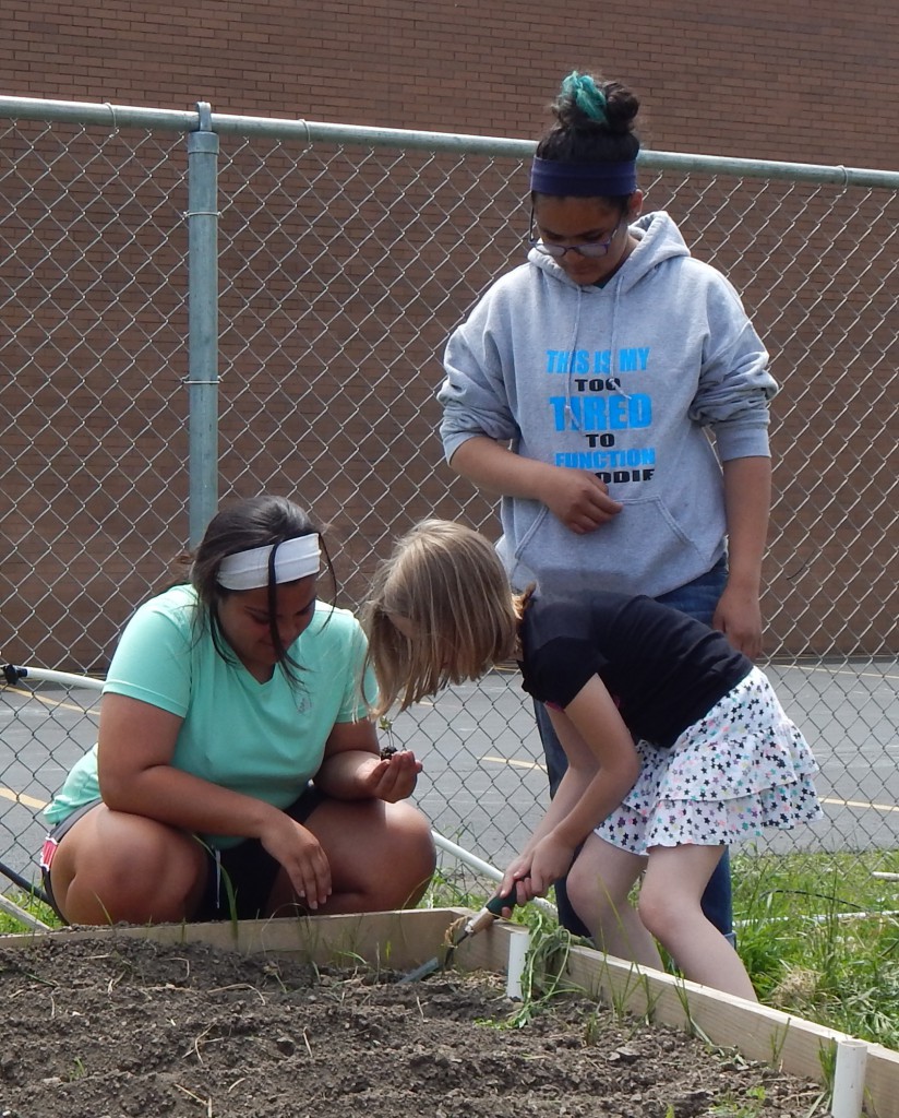 LakeView K-8 Academy
