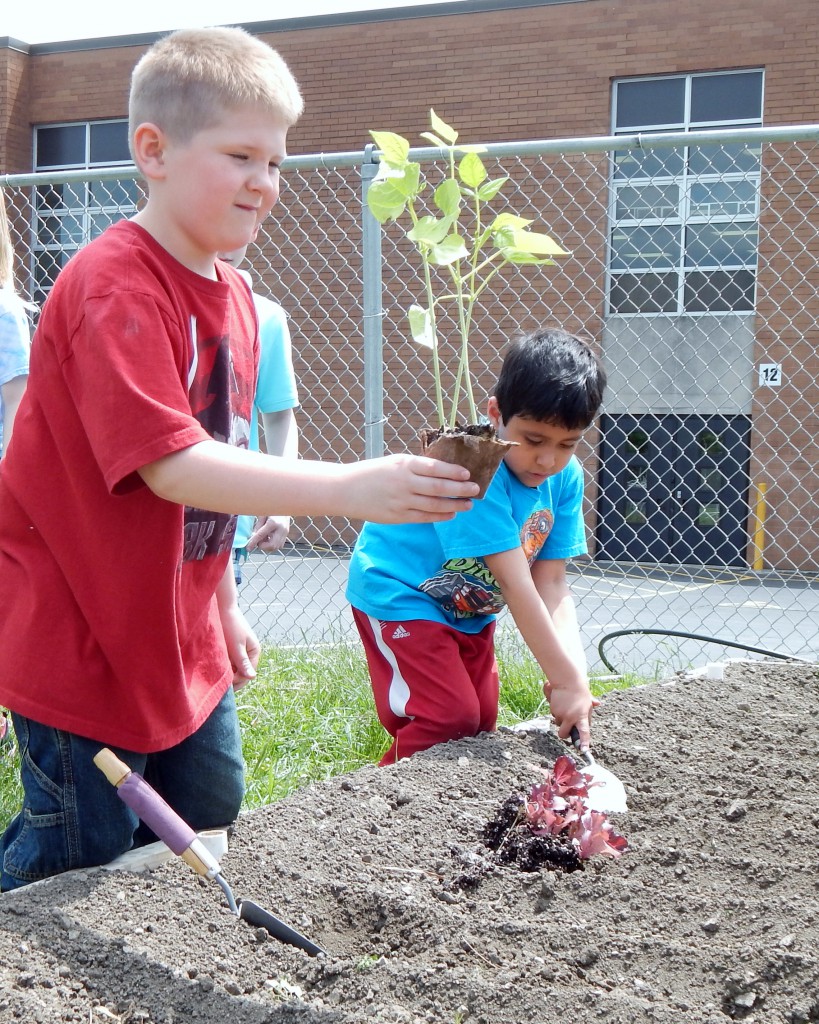 LakeView K-8 Academy