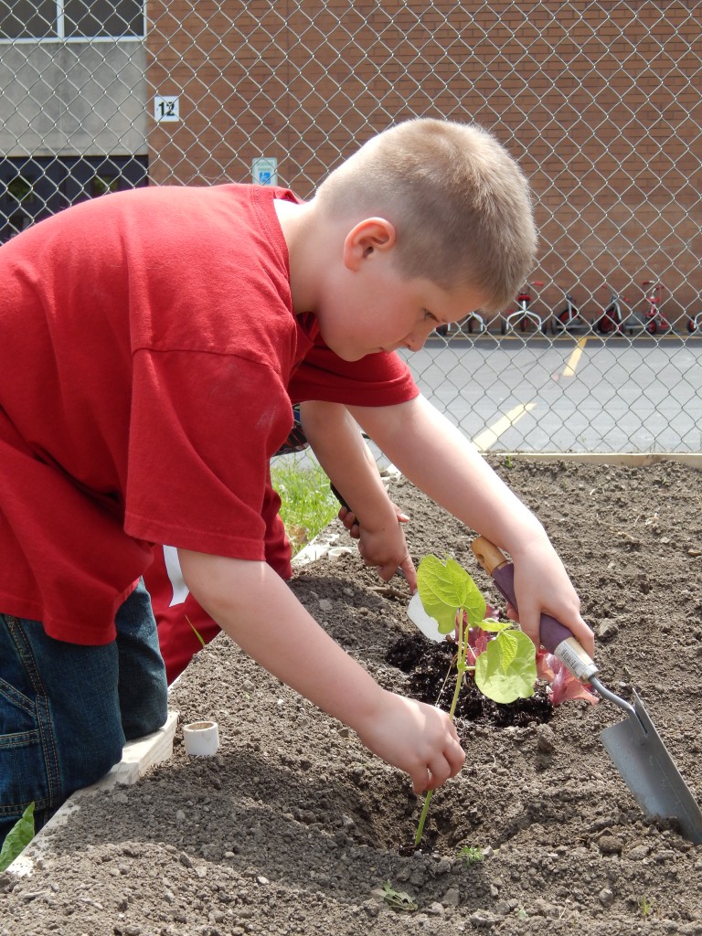 LakeView K-8 Academy