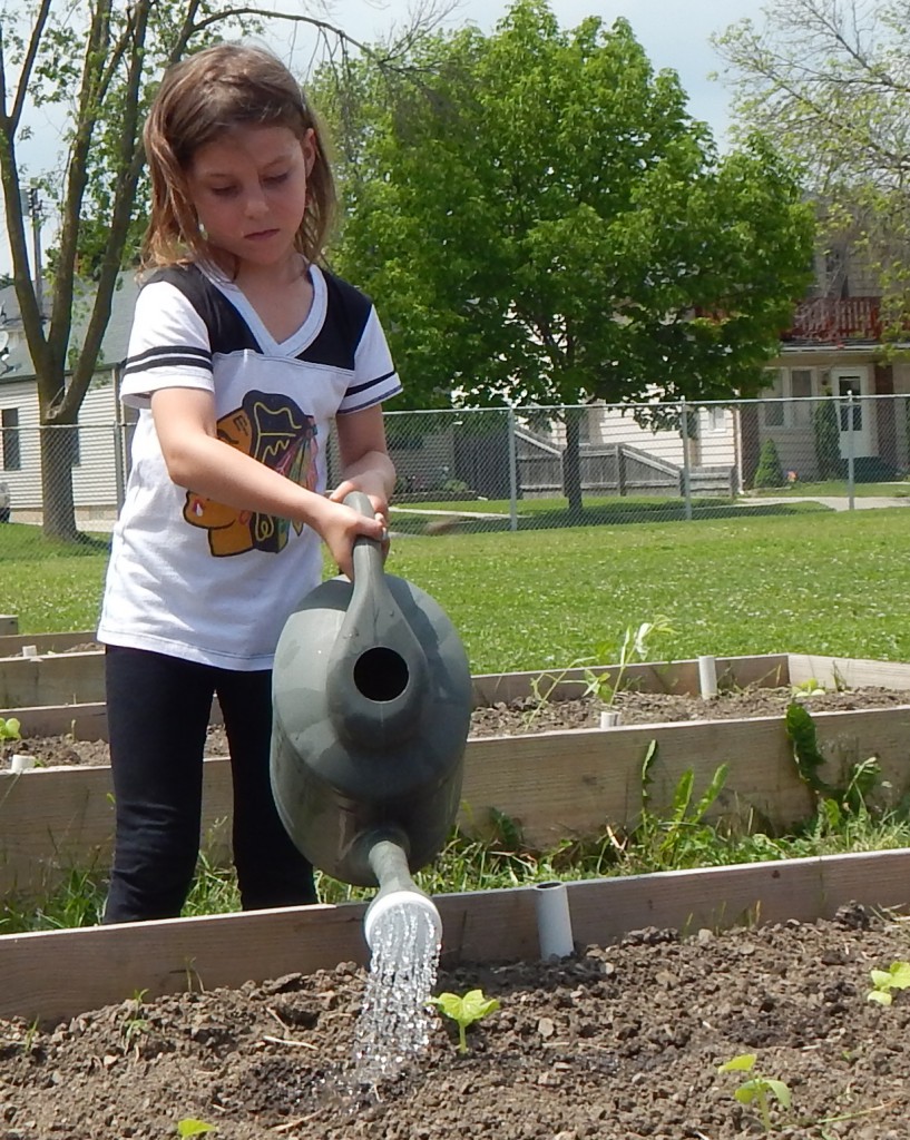 LakeView K-8 Academy