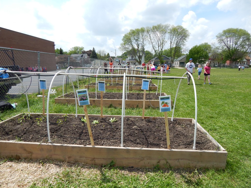 LakeView K-8 Academy