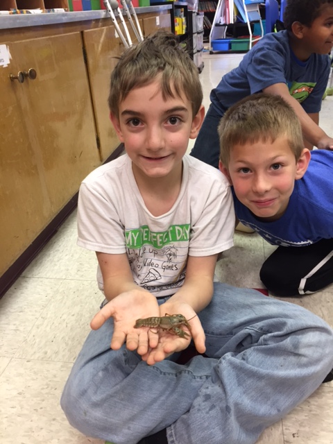 LakeView K-8 Academy