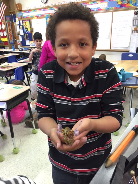 LakeView K-8 Academy