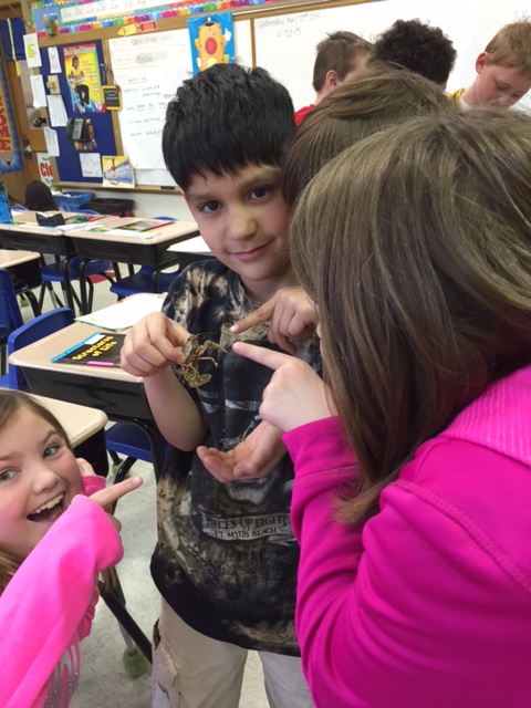 LakeView K-8 Academy