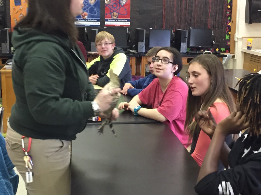 LakeView K-8 Academy