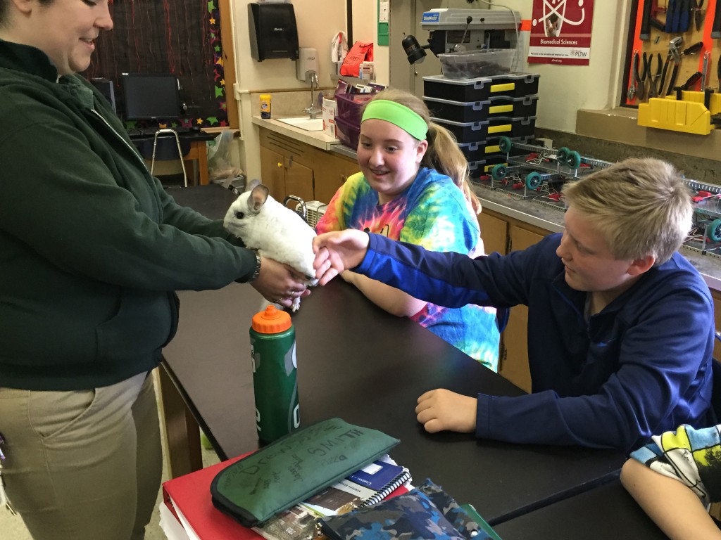 LakeView K-8 Academy