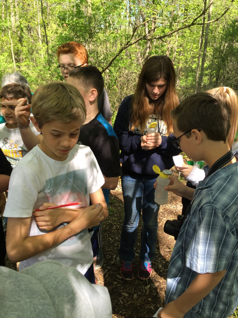 LakeView K-8 Academy