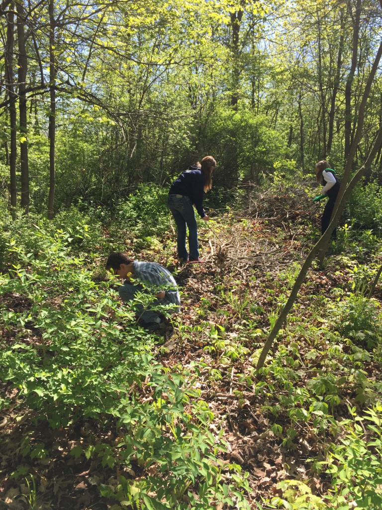 LakeView K-8 Academy