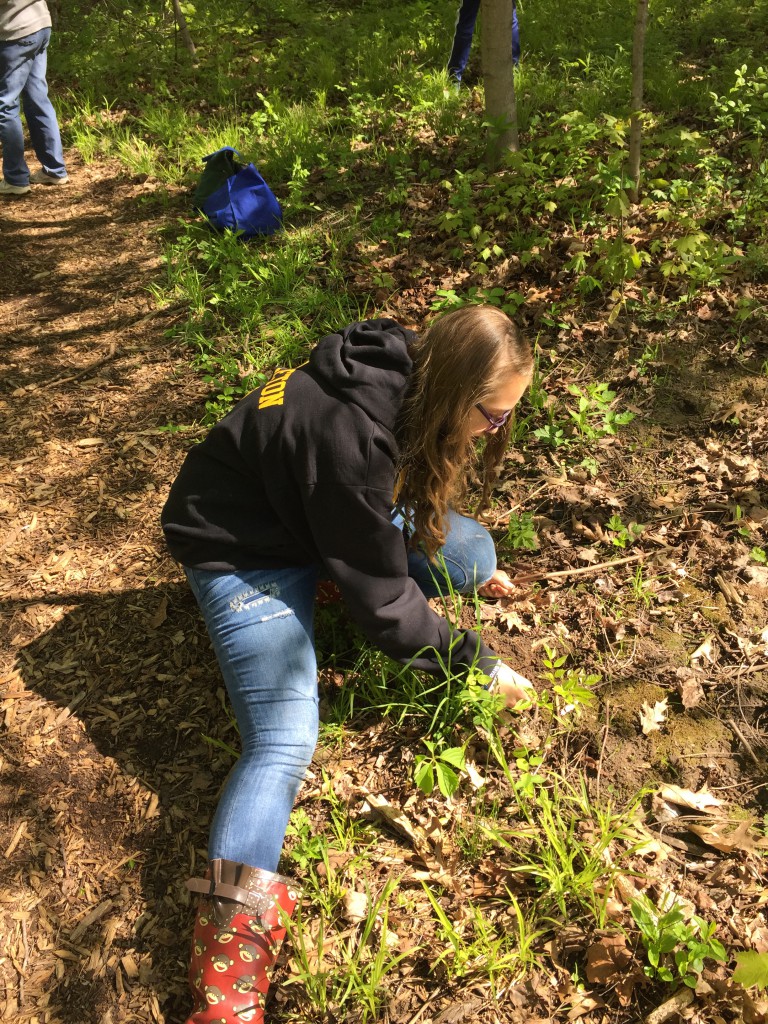 LakeView K-8 Academy