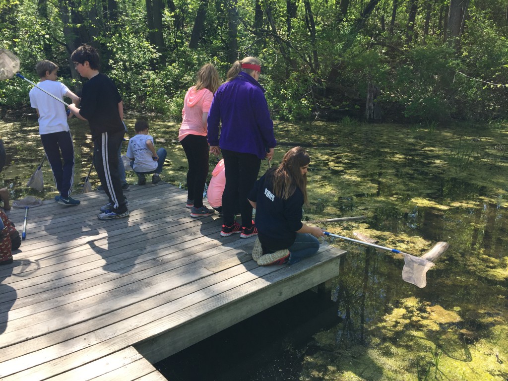 LakeView K-8 Academy