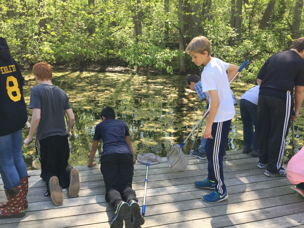 LakeView K-8 Academy