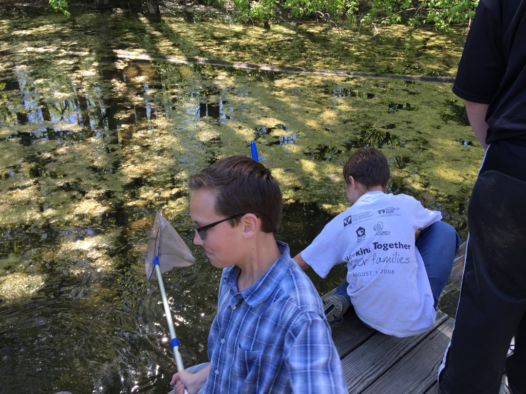 LakeView K-8 Academy