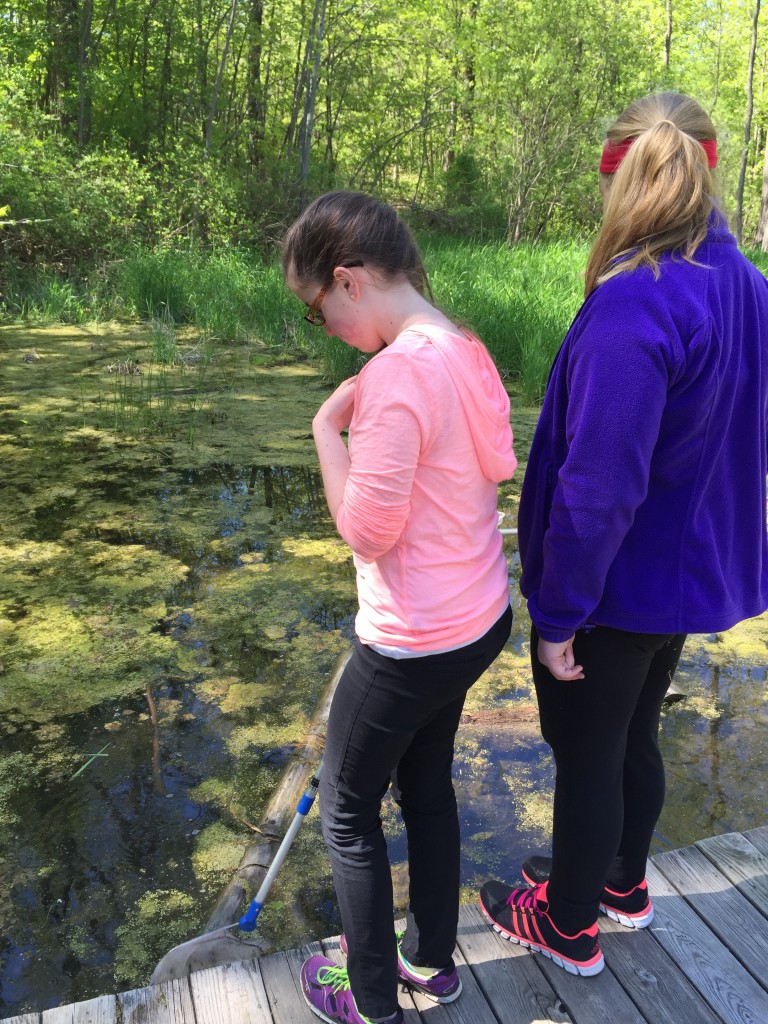 LakeView K-8 Academy