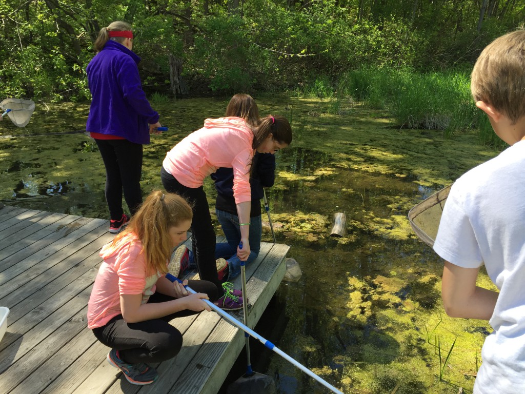 LakeView K-8 Academy