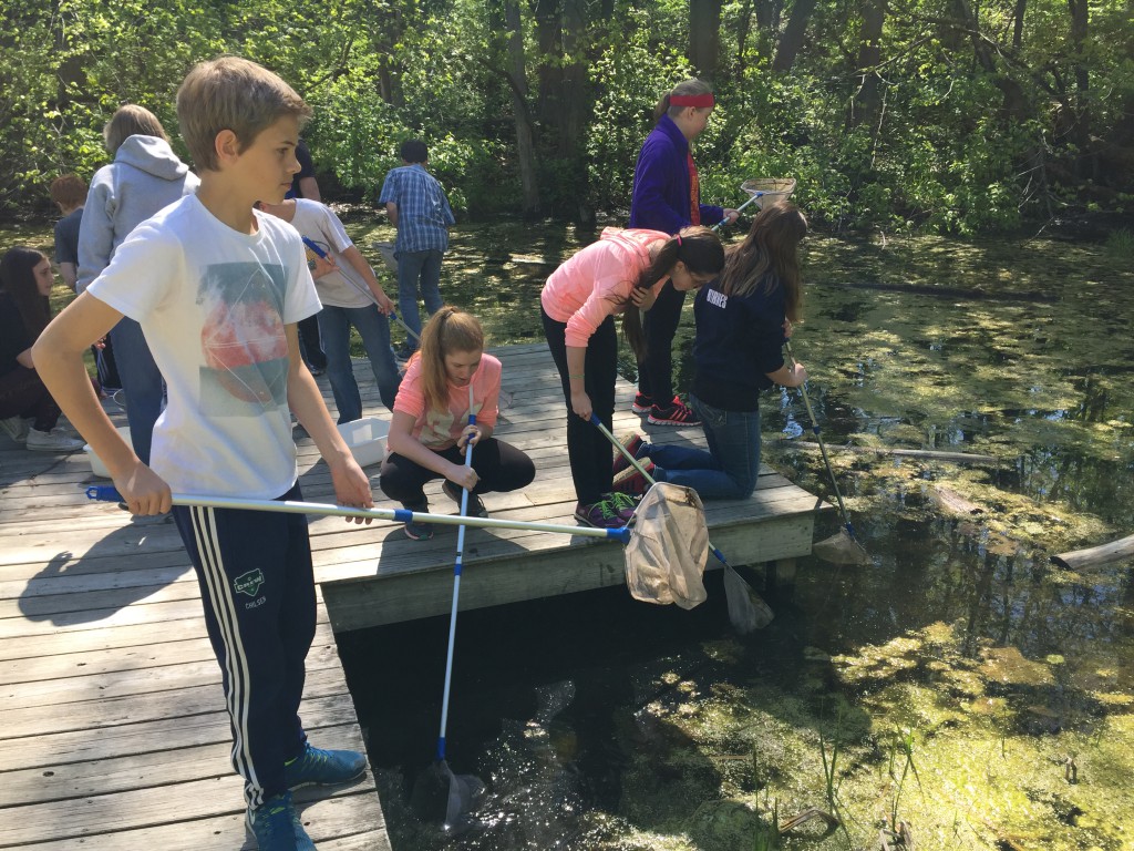 LakeView K-8 Academy