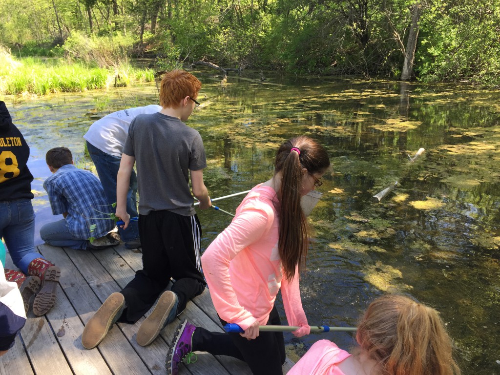 LakeView K-8 Academy