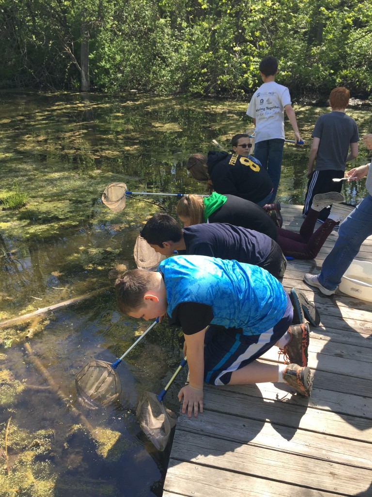 LakeView K-8 Academy