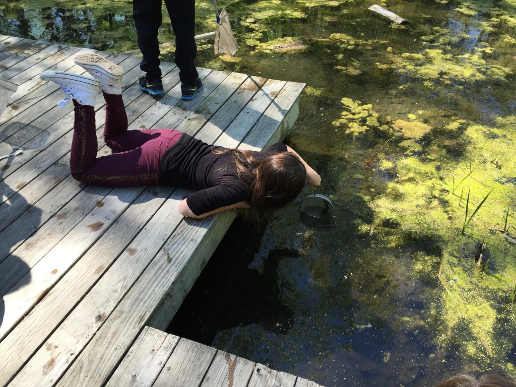 LakeView K-8 Academy