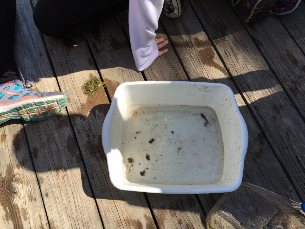 LakeView K-8 Academy