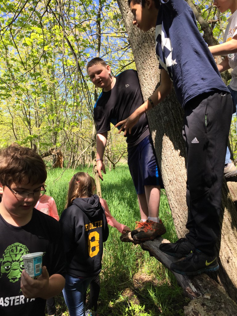 LakeView K-8 Academy