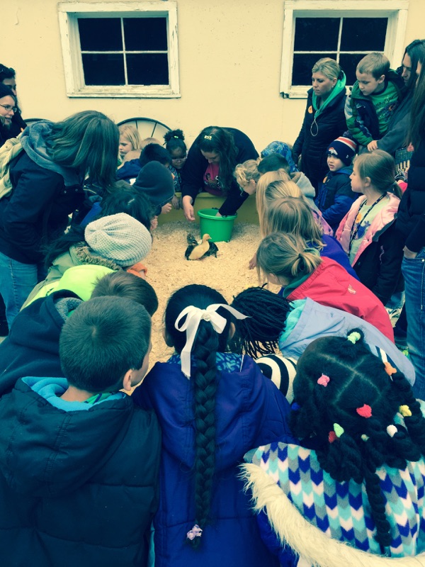 LakeView K-8 Academy