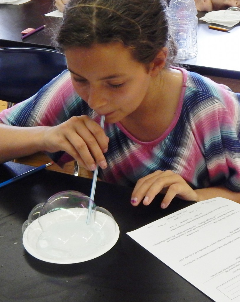 LakeView K-8 Academy