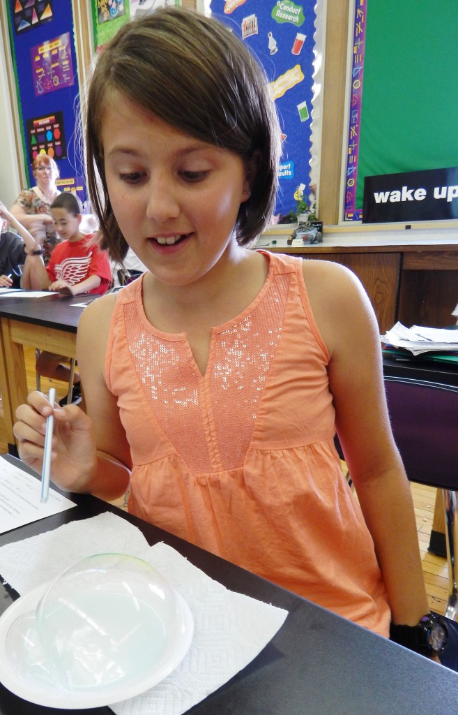 LakeView K-8 Academy