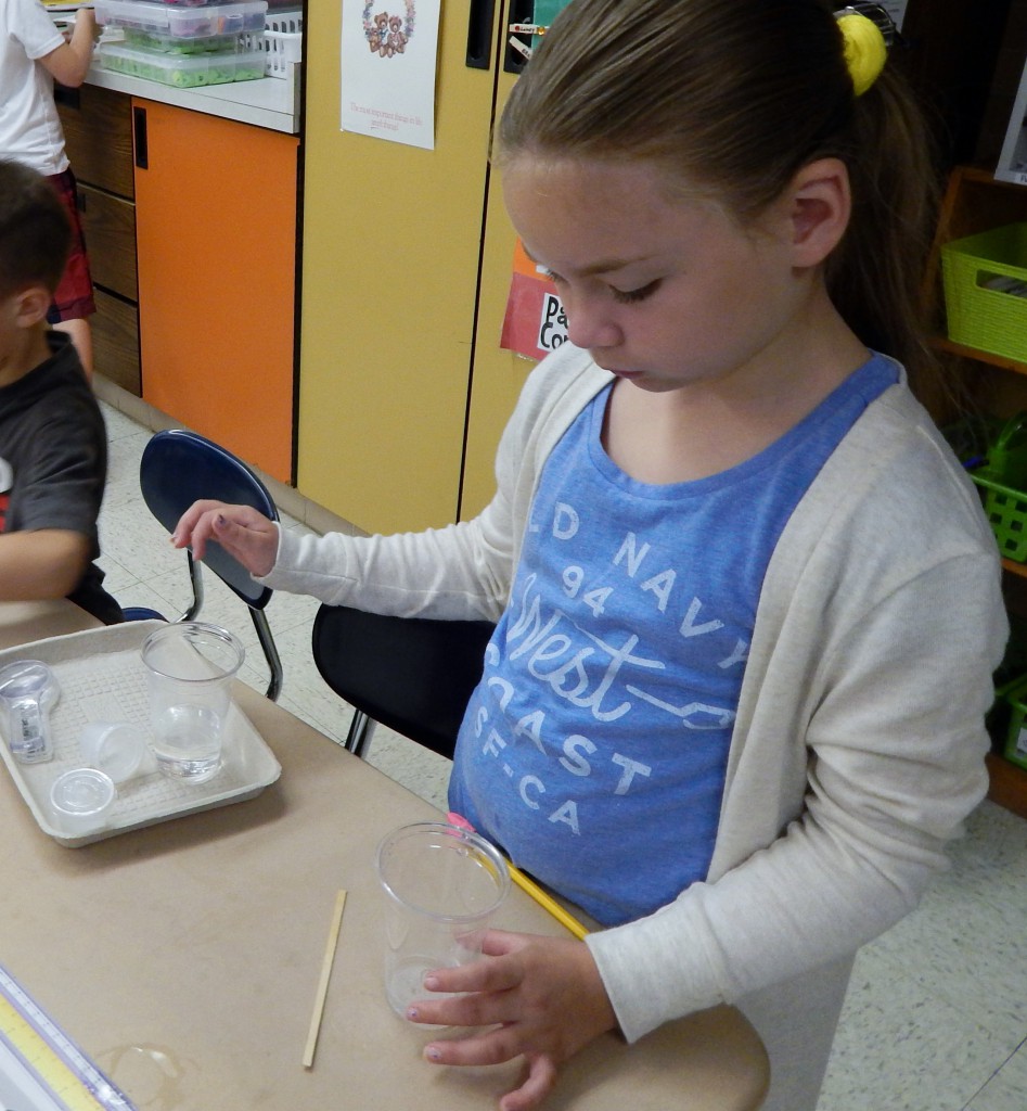 LakeView K-8 Academy