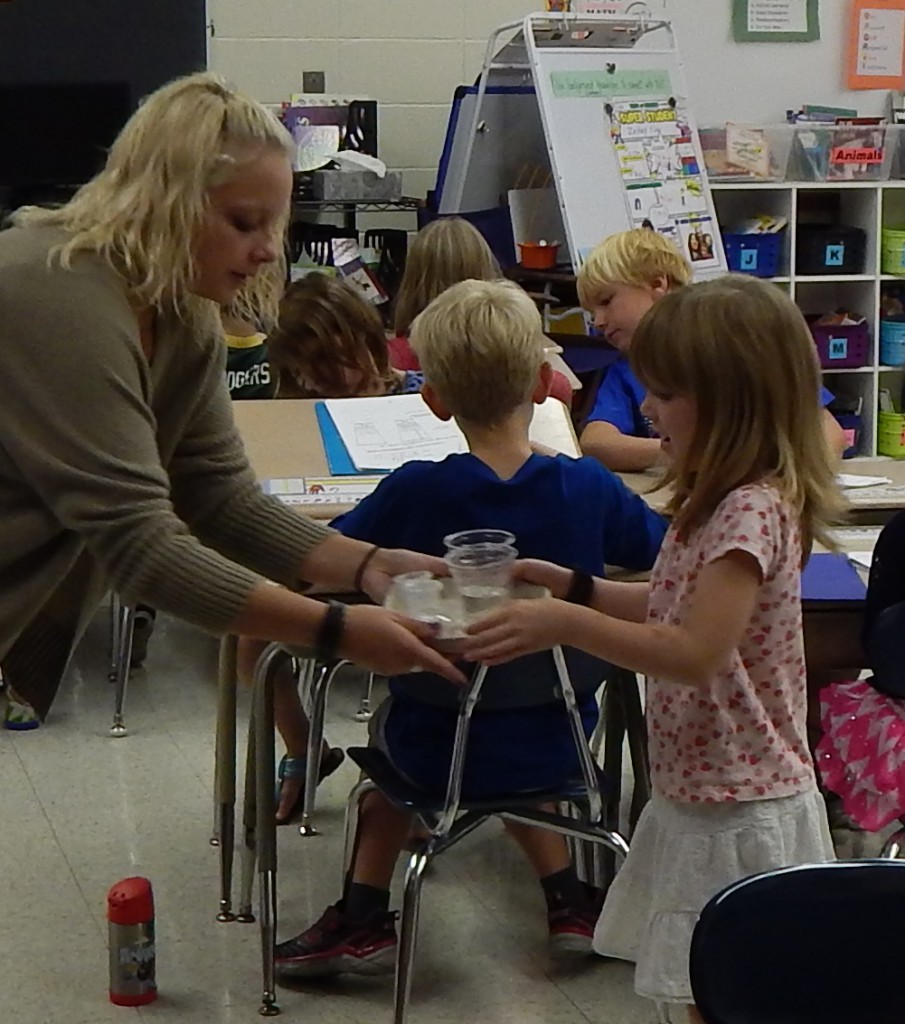 LakeView K-8 Academy