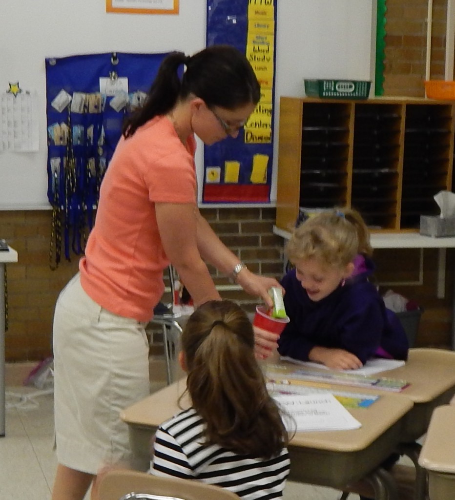 LakeView K-8 Academy