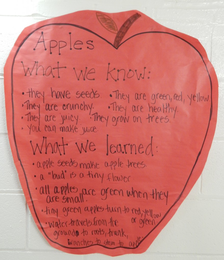 LakeView K-8 Academy