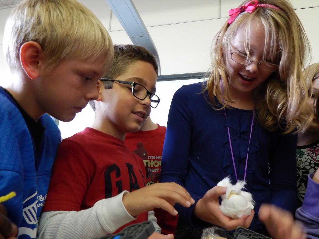 LakeView K-8 Academy
