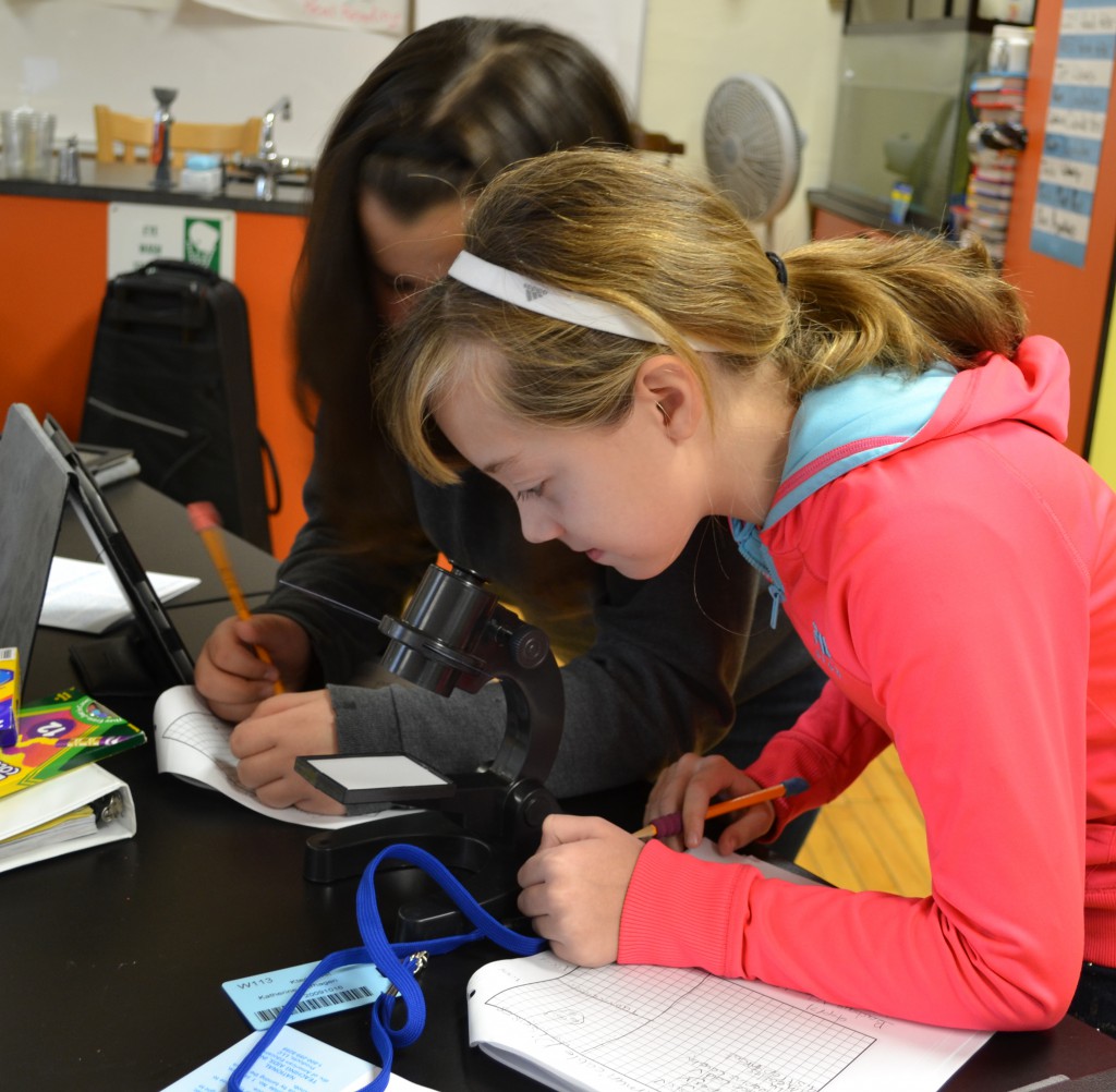 LakeView K-8 Academy