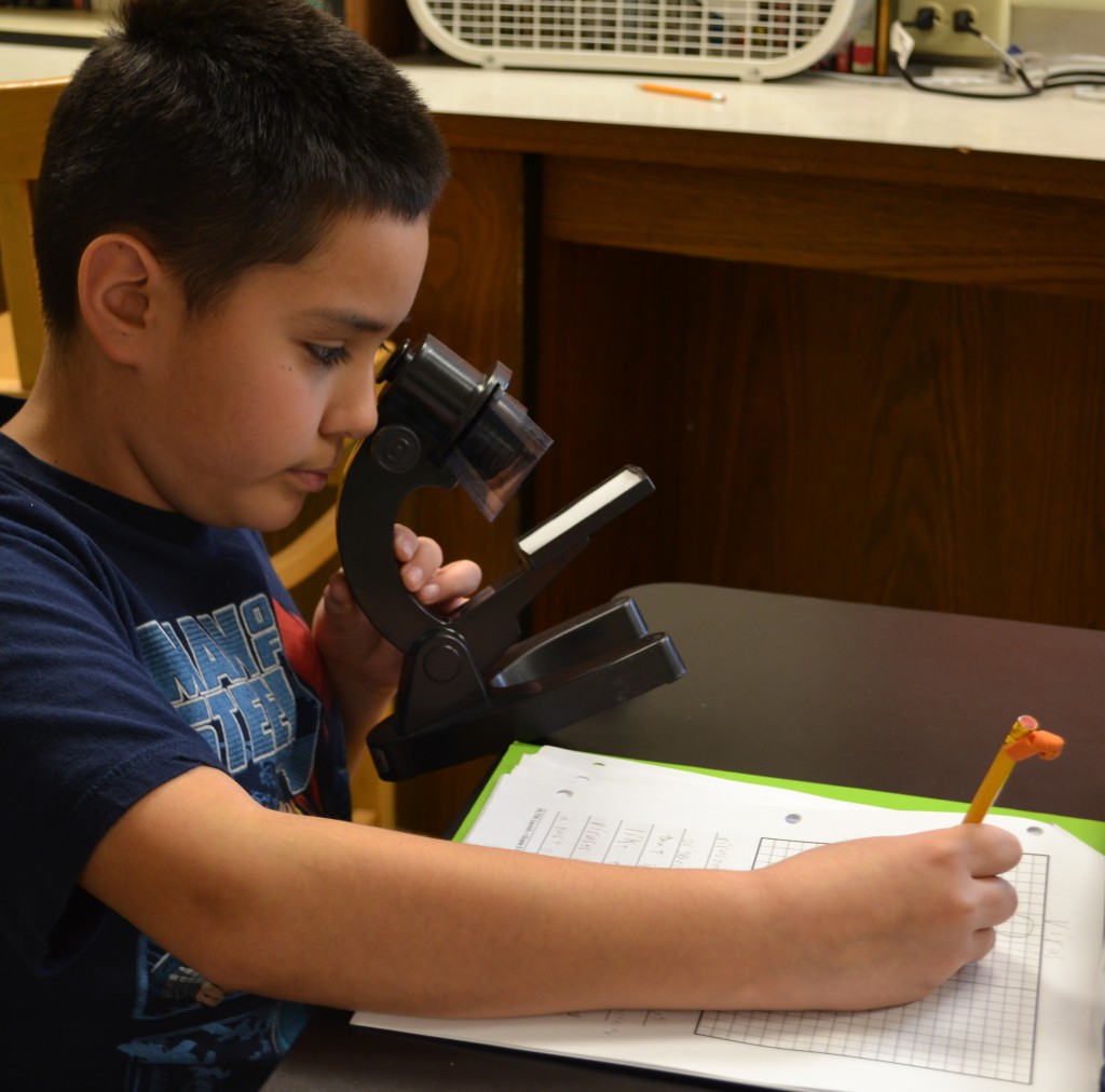 LakeView K-8 Academy