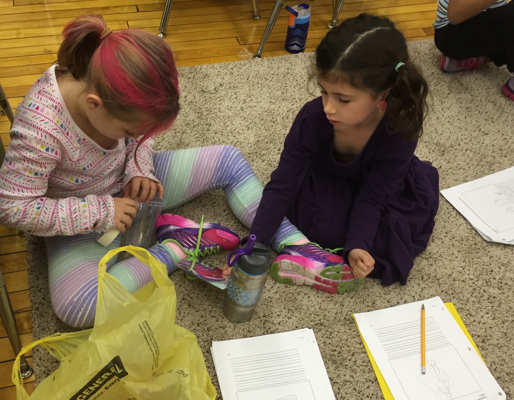 LakeView K-8 Academy