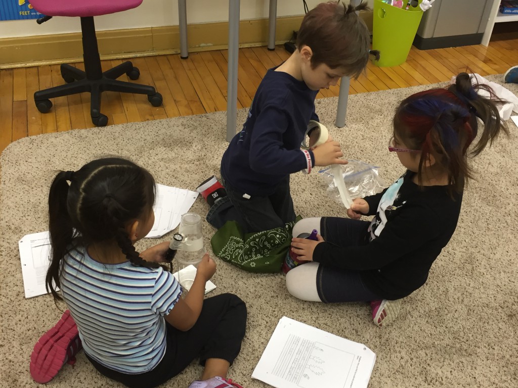 LakeView K-8 Academy