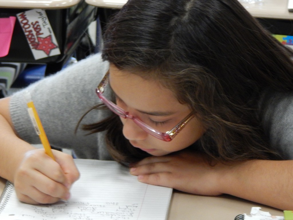 LakeView K-8 Academy