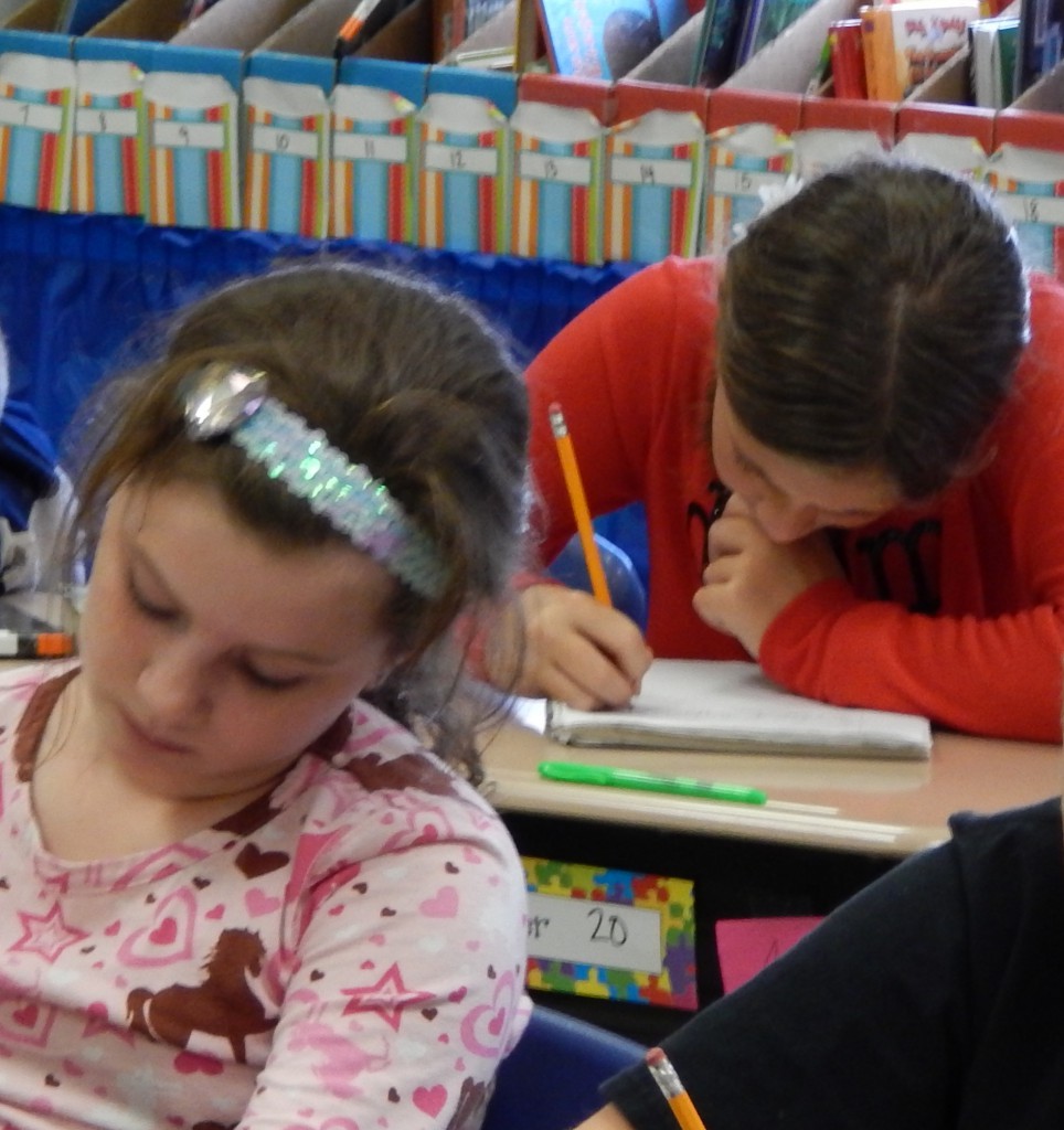 LakeView K-8 Academy