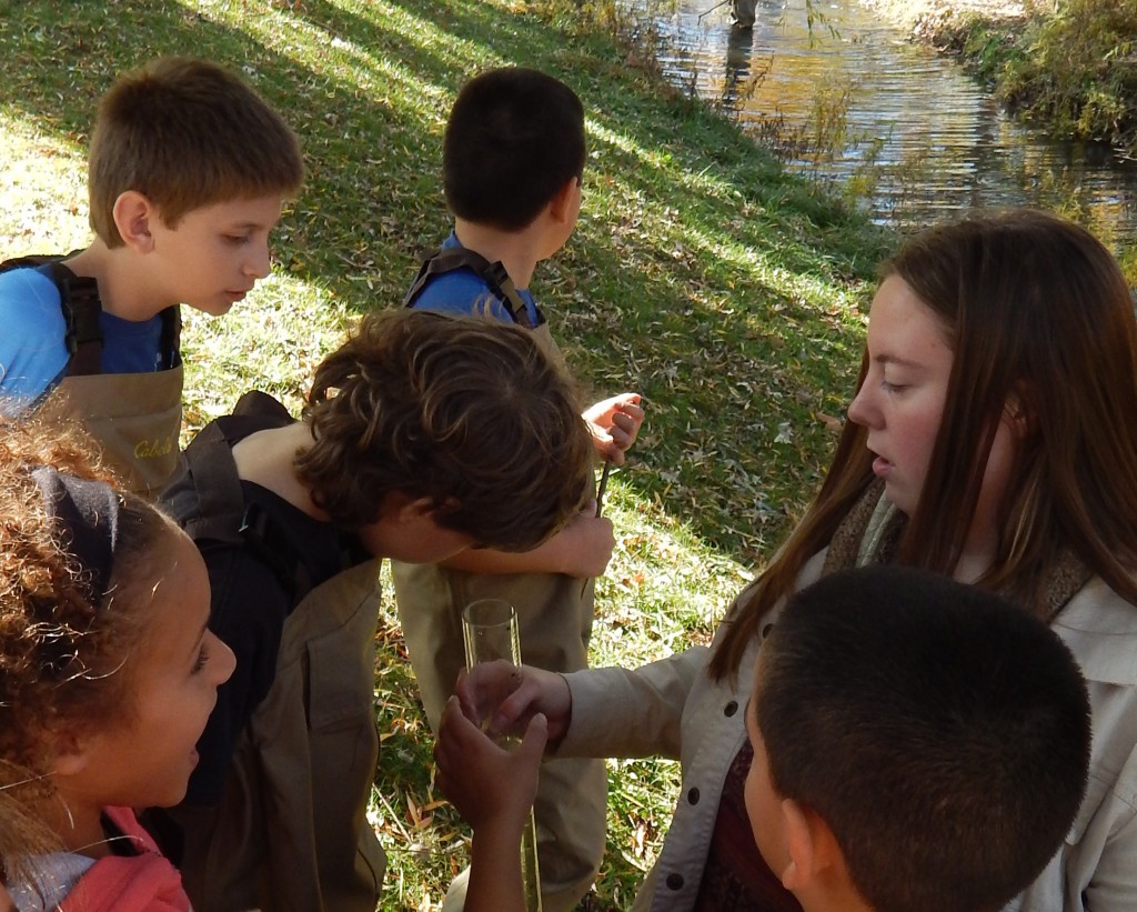 LakeView K-8 Academy