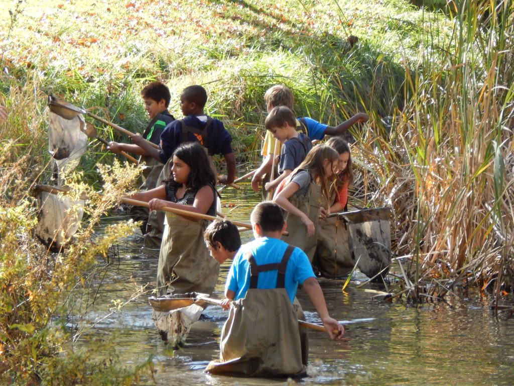 LakeView K-8 Academy