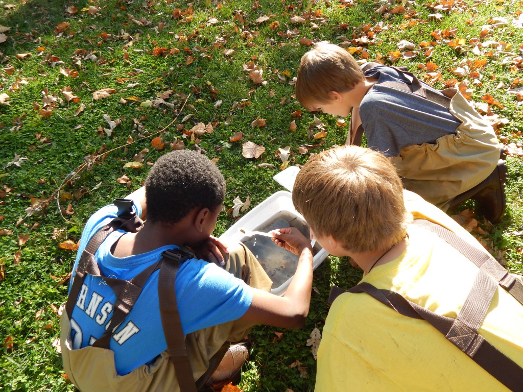 LakeView K-8 Academy