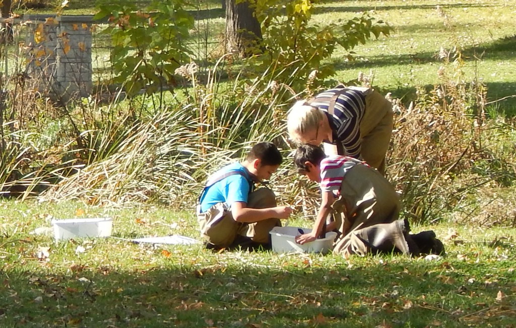 LakeView K-8 Academy