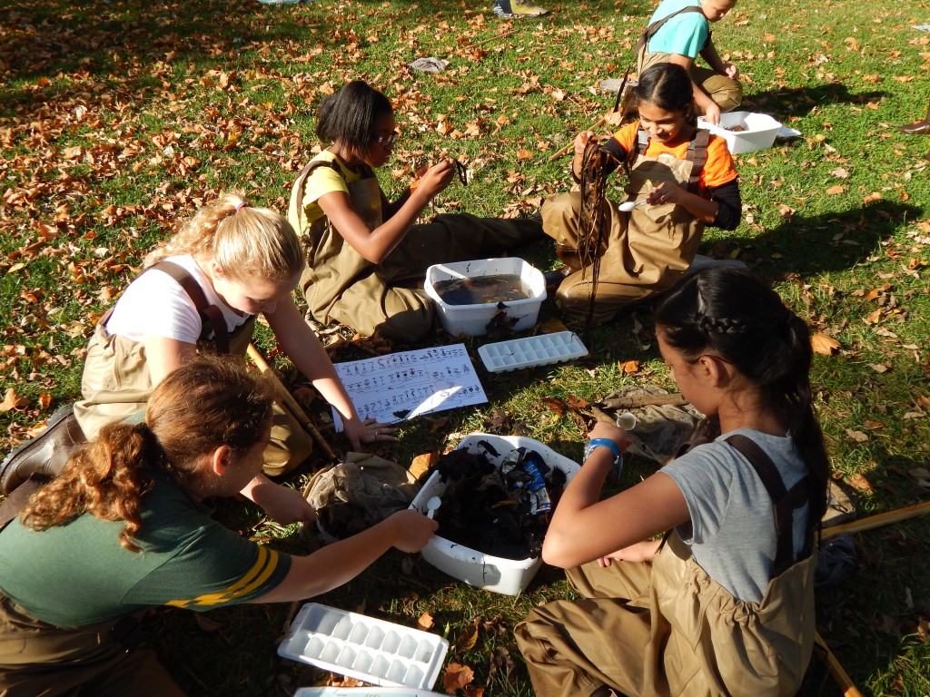 LakeView K-8 Academy