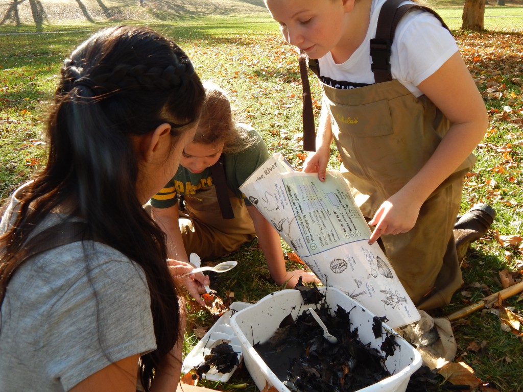 LakeView K-8 Academy