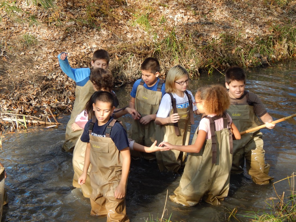 LakeView K-8 Academy