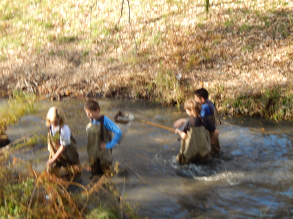 LakeView K-8 Academy