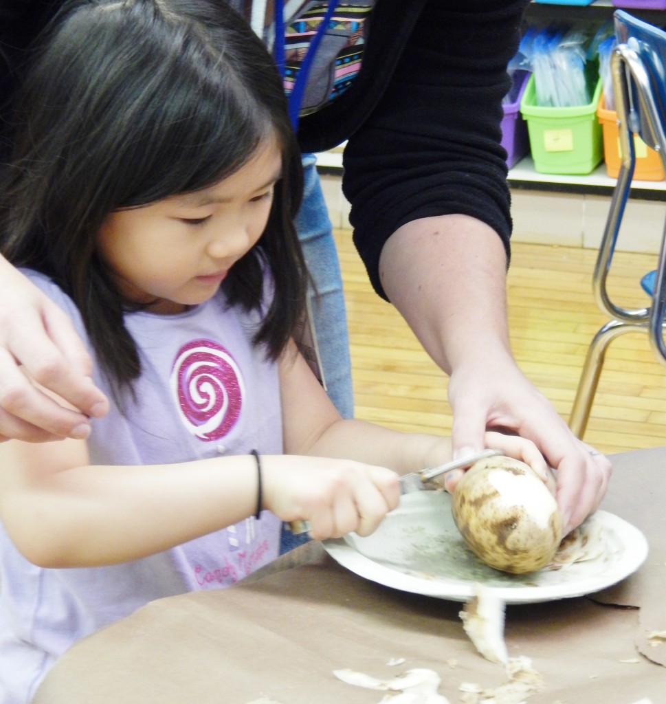 LakeView K-8 Academy