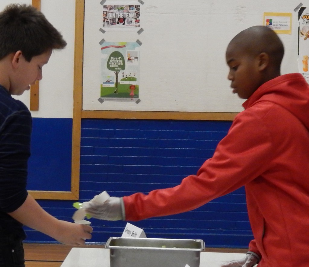 LakeView K-8 Academy