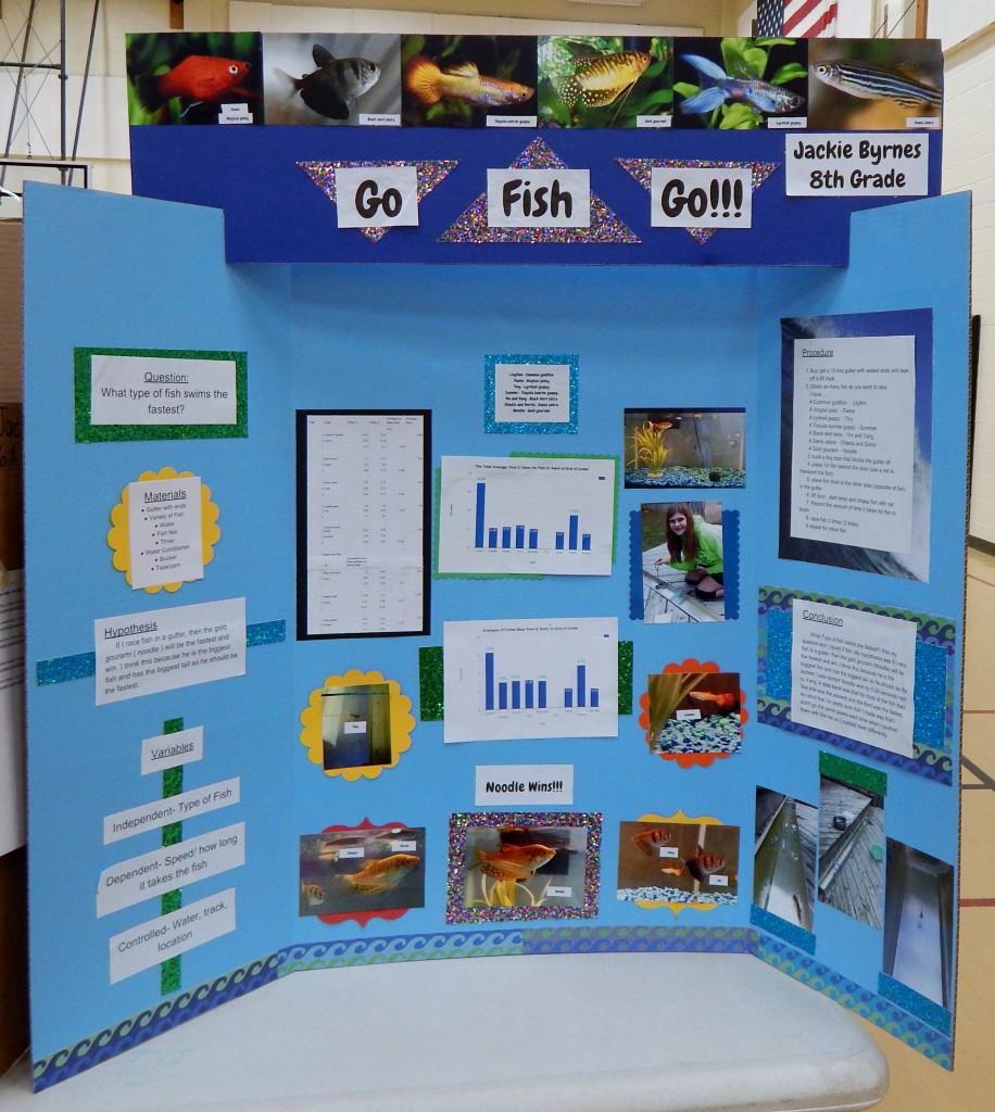 LakeView K-8 Academy