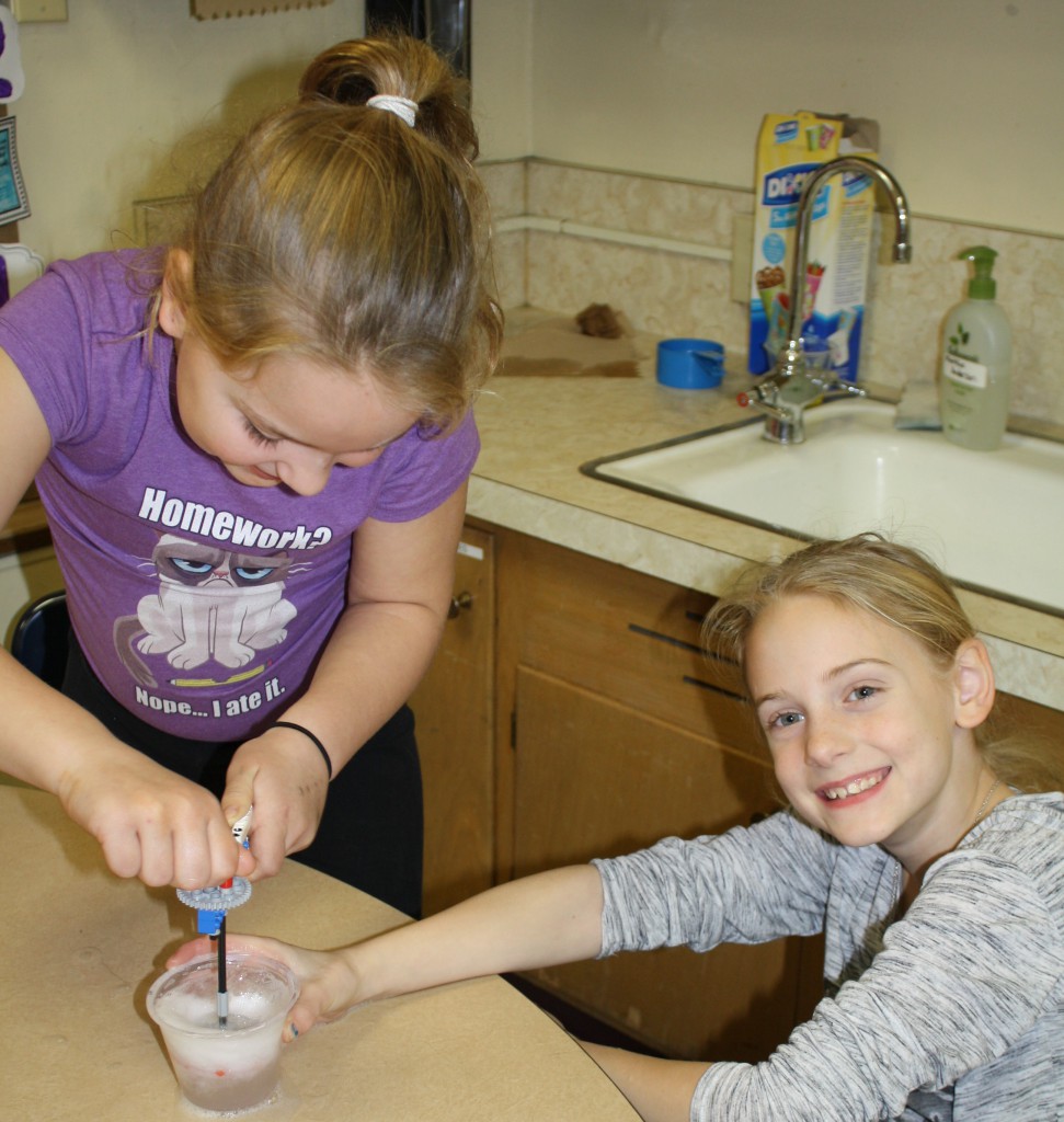 LakeView K-8 Academy